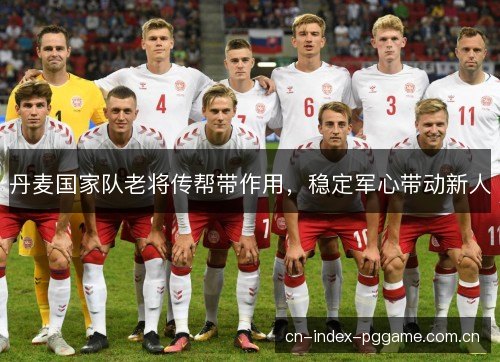 丹麦国家队老将传帮带作用，稳定军心带动新人