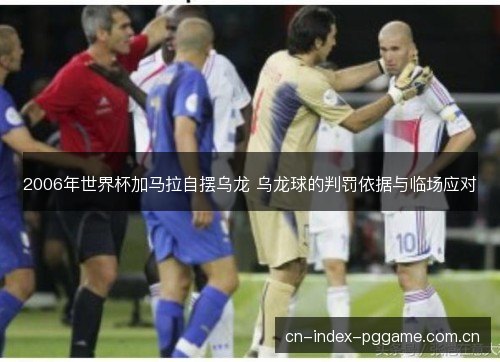 2006年世界杯加马拉自摆乌龙 乌龙球的判罚依据与临场应对